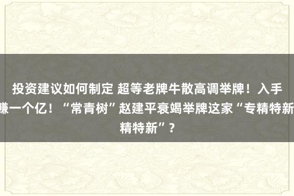 投资建议如何制定 超等老牌牛散高调举牌！入手爆赚一个亿！“常青树”赵建平衰竭举牌这家“专精特新”？