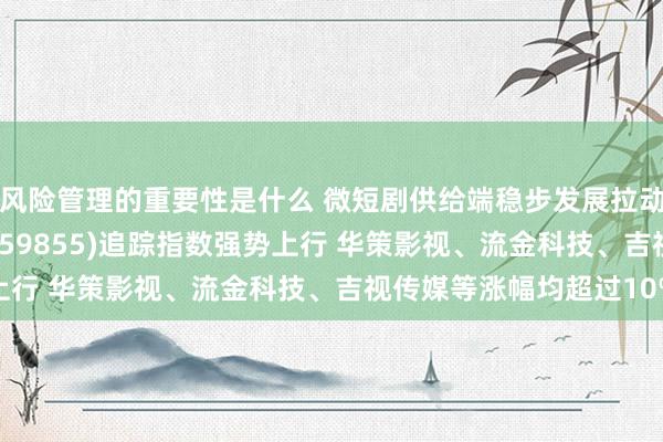 风险管理的重要性是什么 微短剧供给端稳步发展拉动文化出海 影视ETF(159855)追踪指数强势上行 华策影视、流金科技、吉视传媒等涨幅均超过10%