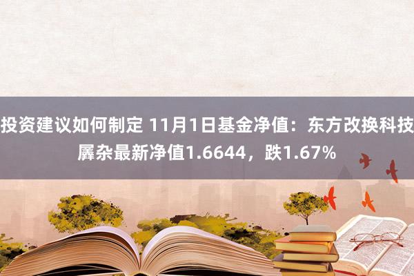 投资建议如何制定 11月1日基金净值：东方改换科技羼杂最新净值1.6644，跌1.67%