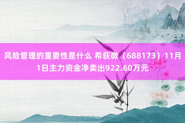 风险管理的重要性是什么 希荻微（688173）11月1日主力资金净卖出922.60万元