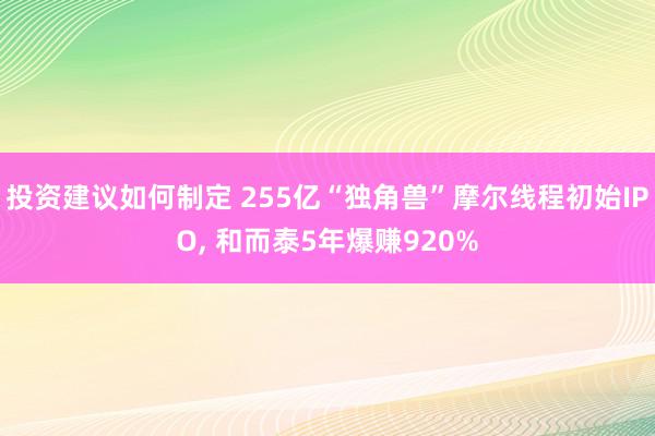 投资建议如何制定 255亿“独角兽”摩尔线程初始IPO, 和而泰5年爆赚920%