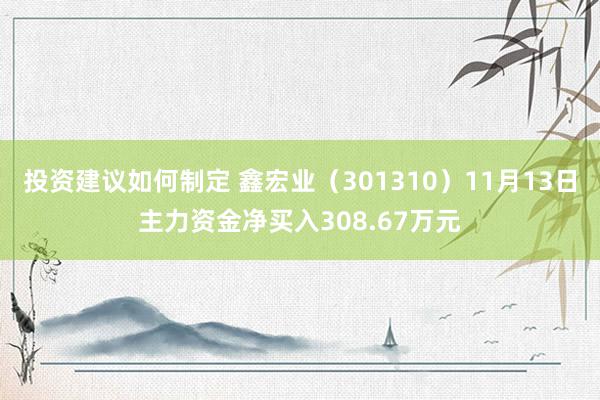 投资建议如何制定 鑫宏业（301310）11月13日主力资金净买入308.67万元