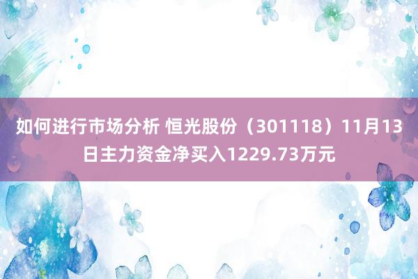 如何进行市场分析 恒光股份（301118）11月13日主力资金净买入1229.73万元