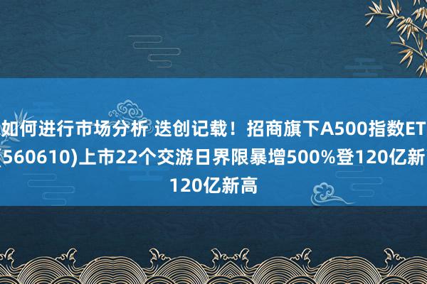 如何进行市场分析 迭创记载！招商旗下A500指数ETF(560610)上市22个交游日界限暴增500%登120亿新高