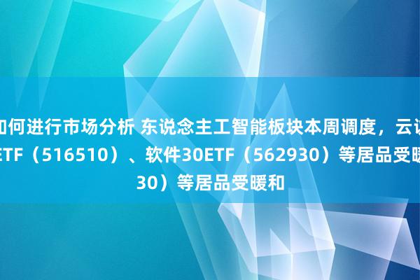 如何进行市场分析 东说念主工智能板块本周调度，云议论ETF（516510）、软件30ETF（562930）等居品受暖和