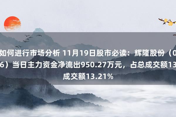 如何进行市场分析 11月19日股市必读：辉隆股份（002556）当日主力资金净流出950.27万元，占总成交额13.21%