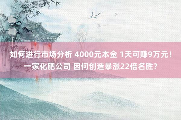 如何进行市场分析 4000元本金 1天可赚9万元！一家化肥公司 因何创造暴涨22倍名胜？