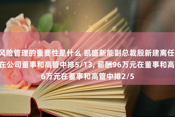 风险管理的重要性是什么 凯盛新能副总裁殷新建离任, 年事56岁在公司董事和高管中排5/13, 薪酬96万元在董事和高管中排2/5