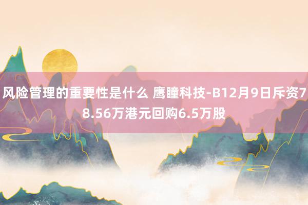 风险管理的重要性是什么 鹰瞳科技-B12月9日斥资78.56万港元回购6.5万股