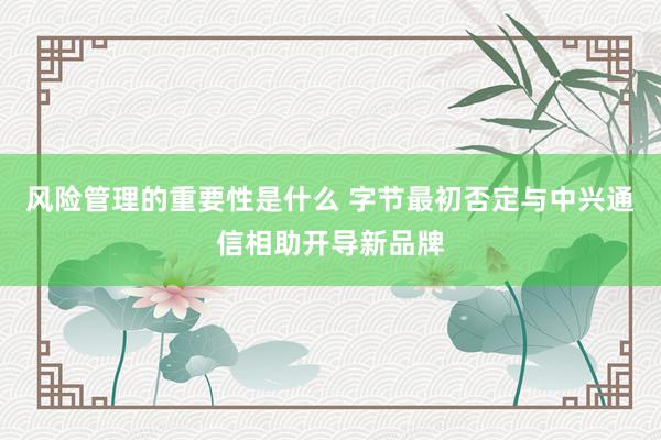 风险管理的重要性是什么 字节最初否定与中兴通信相助开导新品牌