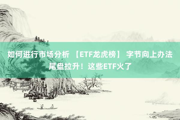 如何进行市场分析 【ETF龙虎榜】 字节向上办法尾盘拉升！这些ETF火了