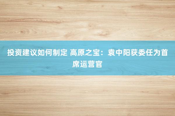 投资建议如何制定 高原之宝：袁中阳获委任为首席运营官