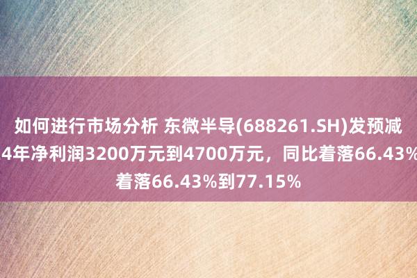 如何进行市场分析 东微半导(688261.SH)发预减，瞻望2024年净利润3200万元到4700万元，同比着落66.43%到77.15%