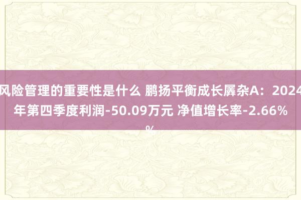 风险管理的重要性是什么 鹏扬平衡成长羼杂A：2024年第四季度利润-50.09万元 净值增长率-2.66%