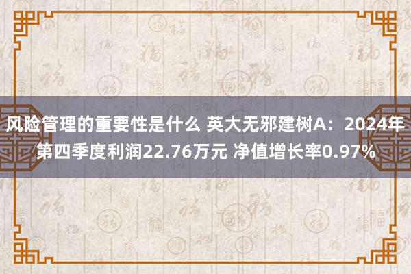 风险管理的重要性是什么 英大无邪建树A：2024年第四季度利润22.76万元 净值增长率0.97%