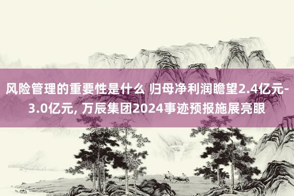 风险管理的重要性是什么 归母净利润瞻望2.4亿元-3.0亿元, 万辰集团2024事迹预报施展亮眼