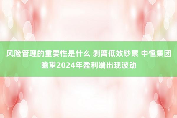 风险管理的重要性是什么 剥离低效钞票 中恒集团瞻望2024年盈利端出现波动