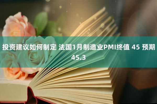 投资建议如何制定 法国1月制造业PMI终值 45 预期45.3