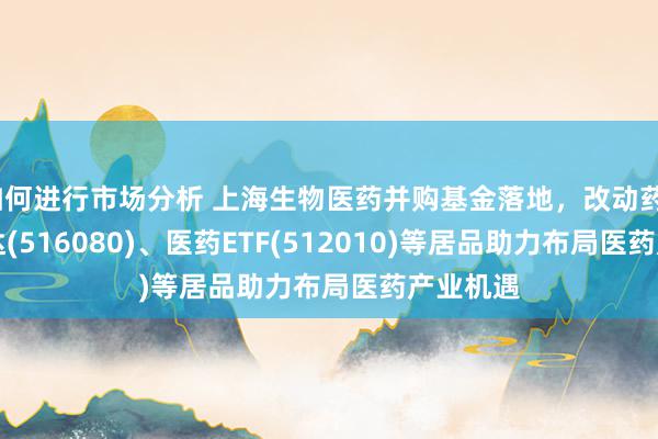 如何进行市场分析 上海生物医药并购基金落地，改动药ETF易方达(516080)、医药ETF(512010)等居品助力布局医药产业机遇