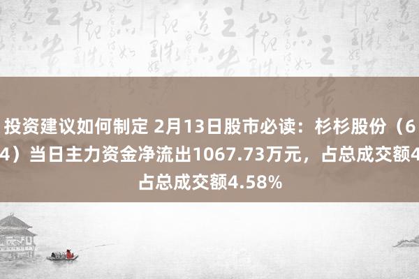 投资建议如何制定 2月13日股市必读：杉杉股份（600884）当日主力资金净流出1067.73万元，占总成交额4.58%