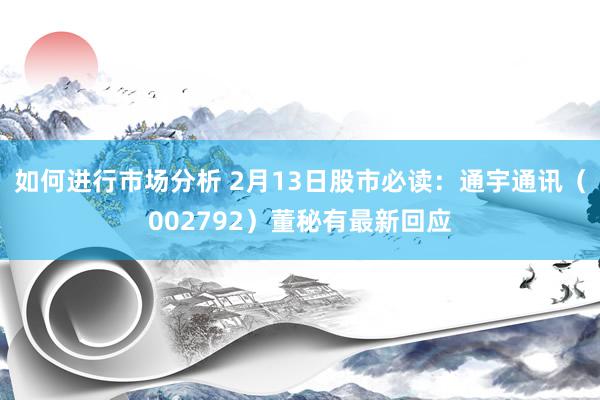 如何进行市场分析 2月13日股市必读：通宇通讯（002792）董秘有最新回应