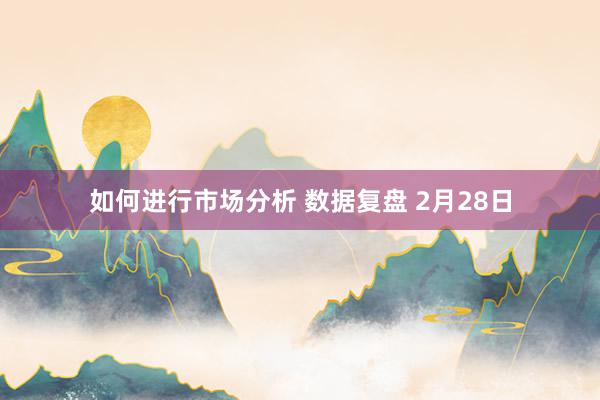 如何进行市场分析 数据复盘 2月28日