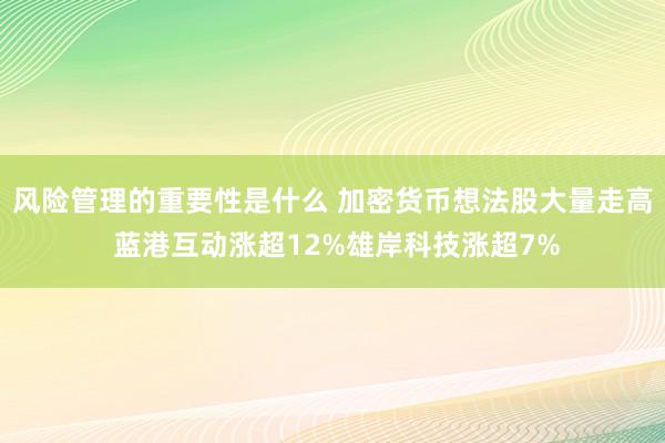 风险管理的重要性是什么 加密货币想法股大量走高 蓝港互动涨超12%雄岸科技涨超7%