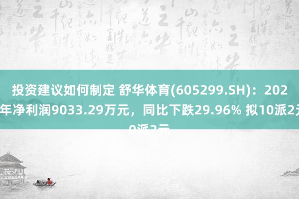 投资建议如何制定 舒华体育(605299.SH)：2024年净利润9033.29万元，同比下跌29.96% 拟10派2元