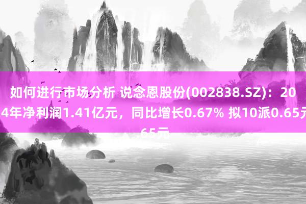 如何进行市场分析 说念恩股份(002838.SZ)：2024年净利润1.41亿元，同比增长0.67% 拟10派0.65元