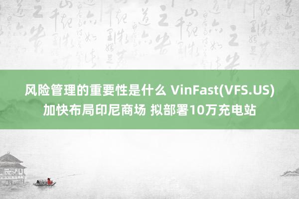 风险管理的重要性是什么 VinFast(VFS.US)加快布局印尼商场 拟部署10万充电站