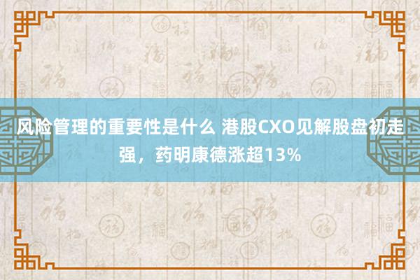 风险管理的重要性是什么 港股CXO见解股盘初走强，药明康德涨超13%