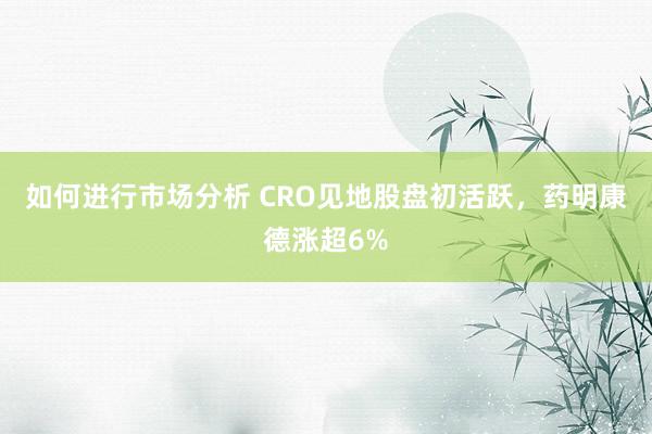 如何进行市场分析 CRO见地股盘初活跃，药明康德涨超6%